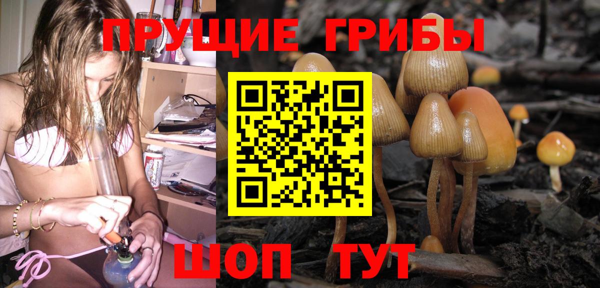 Галлюциногенные грибы Magic Shrooms Донской
