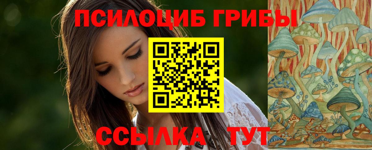Галлюциногенные грибы Psilocybine cubensis  Вход с VPN  Донской 